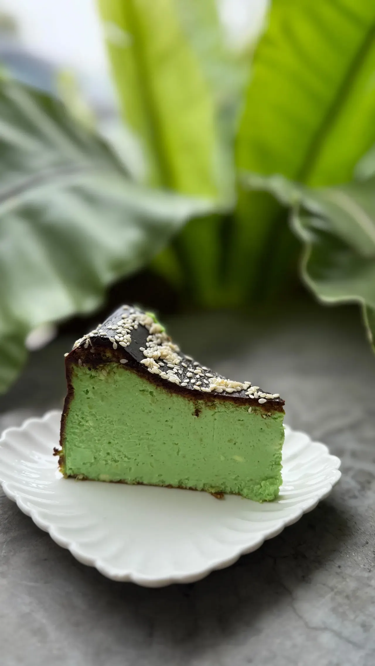 Slice of pandan burnt cheesecake